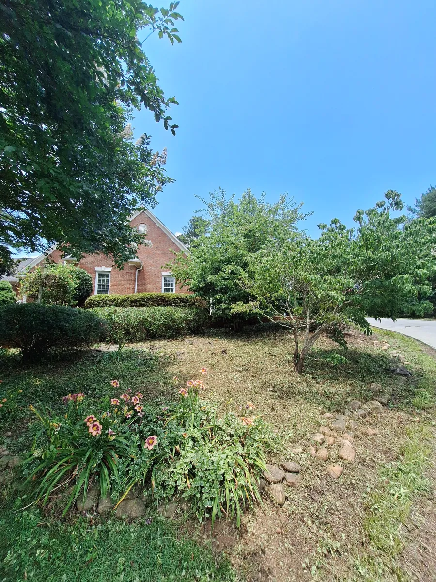 Olmedo team performing lawn seeding service